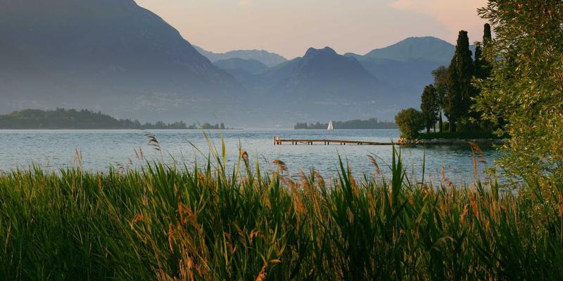 4K影视资源下载工具与网站全攻略：从新手到高手的完整教程与学习资料