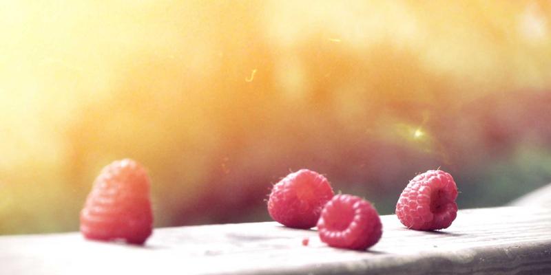 专业音响样本与合成器预设包资源站深度评测：一站式解决软件下载与教程需求