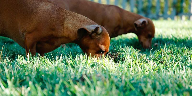 从文档到知识共享:资源下载的演进与未来价值