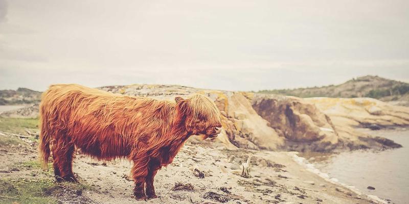 学习资料哪里找？电子书下载网站合法性与格式转换技巧全解析