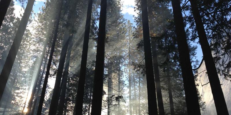 知识分享新时代:资源下载与教程获取的完整指南