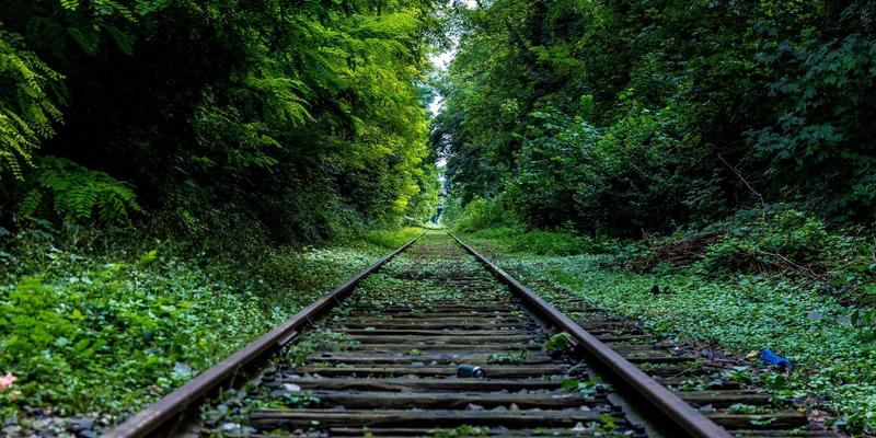 知识分享新纪元:教程与软件下载如何重塑资源获取生态