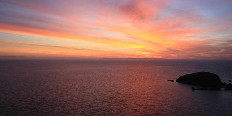 解锁专业宝藏：气象、金融、生物信息学领域的学习资料与数据库下载指南