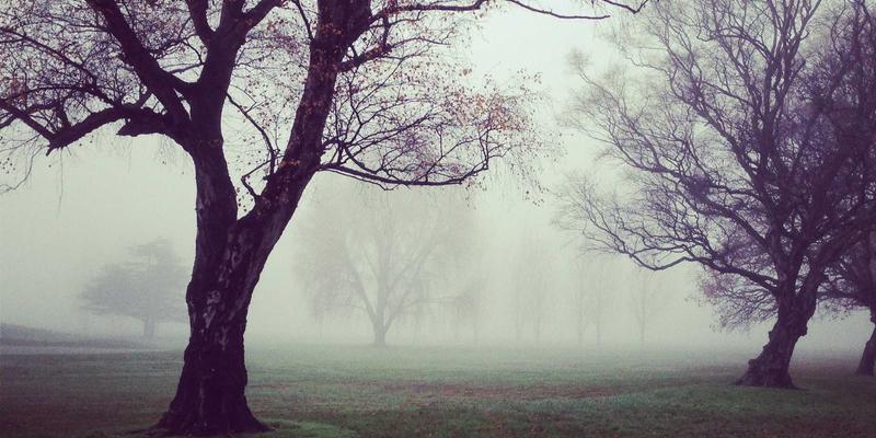资源下载88:一站式获取学习资料、软件与文档的权威指南